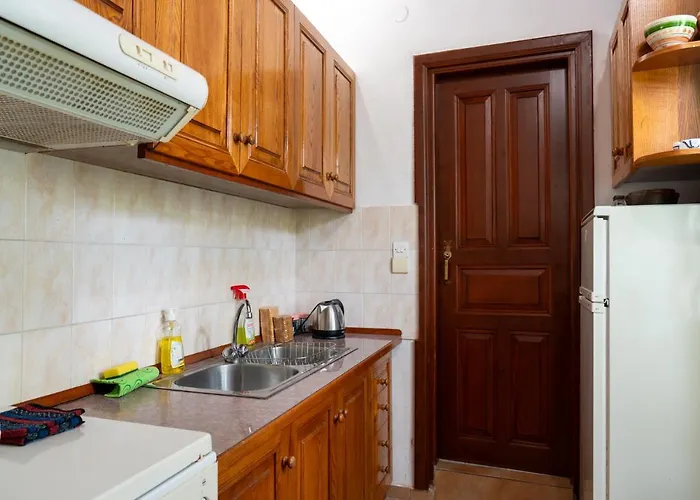 Vintage White House 아파트 파트모스